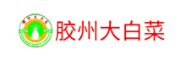 膠州大白菜