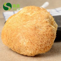 鑫吉挑選食用菌特產干貨猴頭菇 無熏金猴王猴頭菇500g批發(fā)