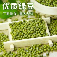 綠豆農家五谷雜糧發(fā)豆芽綠豆散裝解暑綠豆湯綠豆種子熬煮豆類 批發(fā)